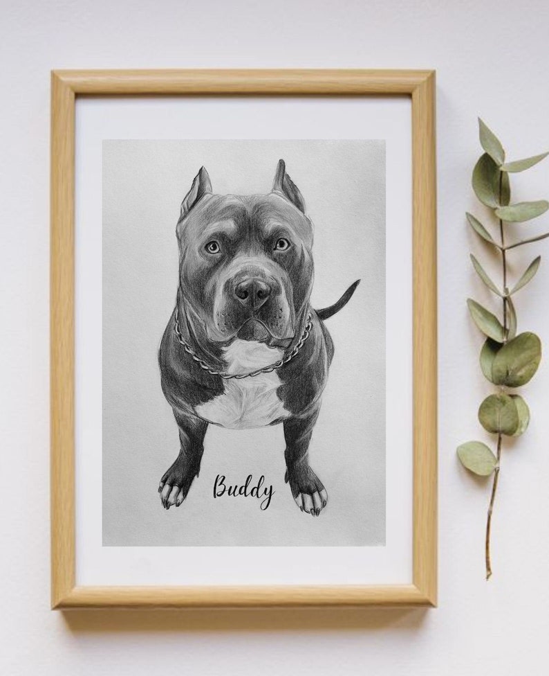 Aangepaste huisdierportret tekenen, gepersonaliseerde katten en hondenportretten, met de hand geschilderd van foto, handgetekende huisdieren, dierenvriendgeschenken, huisdierverlies afbeelding 7