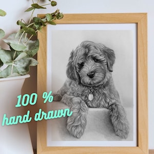Pet portrait from photo, Personalized portraits for Dogs and Cats, Custom pencil drawing, Hand drawn pets, Pet loss gift
