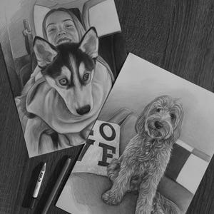 May include: Two graphite pencil drawings on paper. One depicts a person and a husky dog inside a vehicle. The second shows a curly-haired dog sitting on a seat next to a pillow with the letters OF visible. Two drawing pencils are placed nearby.