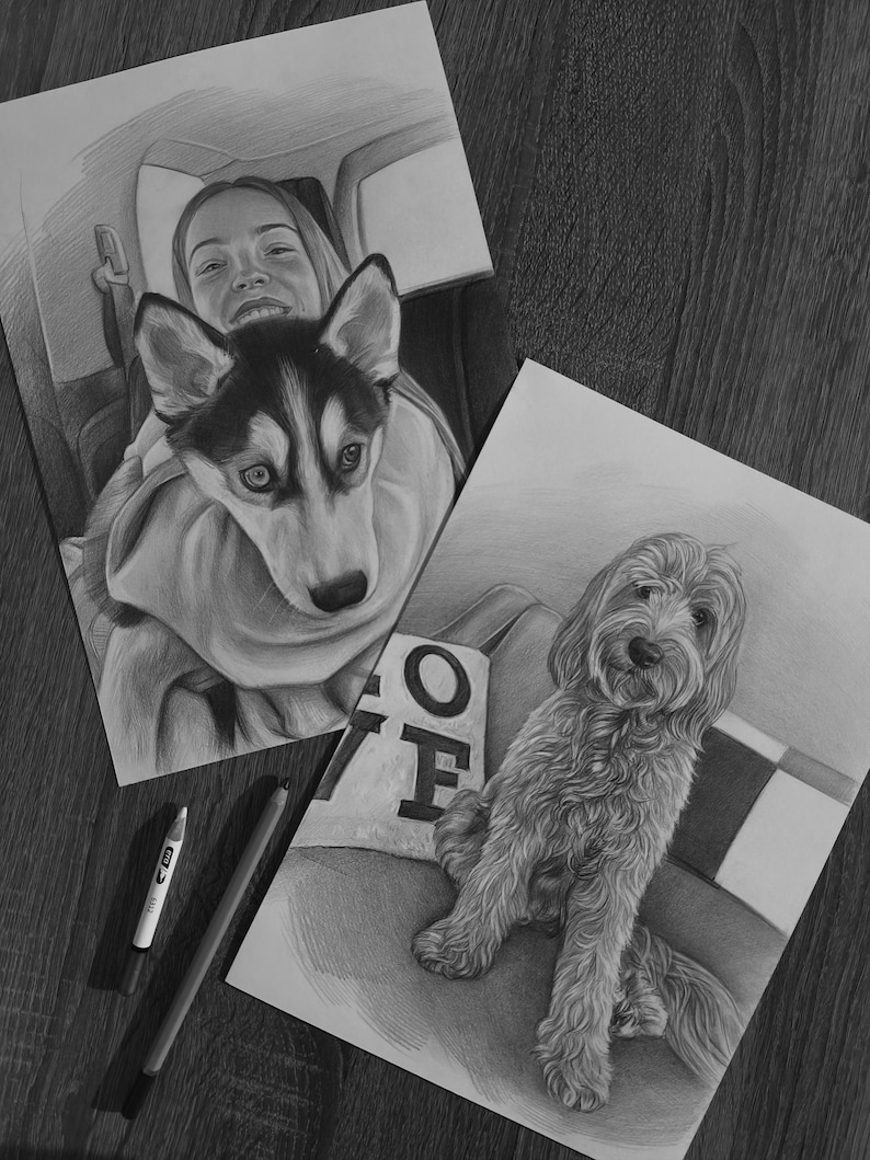 May include: Two graphite pencil drawings on paper. One depicts a person and a husky dog inside a vehicle. The second shows a curly-haired dog sitting on a seat next to a pillow with the letters OF visible. Two drawing pencils are placed nearby.