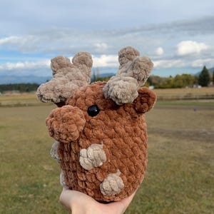 May include: A handmade, plush deer toy with brown and tan yarn. The deer has a rounded body, small black eyes, and tan antlers. The toy is held up against a backdrop of a field and cloudy sky.