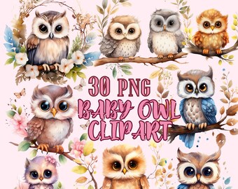 Watercolor Baby Owl PNG Bundle,Cute Owl Png,cute bird nursery png,Cute Owl Clipart PNG,Cute Baby Owl Clipart,Watercolor Winter Owls Clipart
