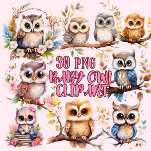 Aquarelle bébé hibou PNG Bundle, mignon hibou Png, mignon oiseau pépinière png, mignon hibou des cliparts PNG, mignon bébé hibou Clipart, clipart aquarelle hiboux hiver