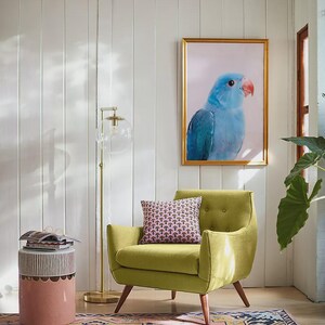May include: A living room scene featuring a light green armchair with a patterned pillow, a framed blue parrot print, and a pink and yellow patterned rug. A gold floor lamp and a small side table complete the decor.