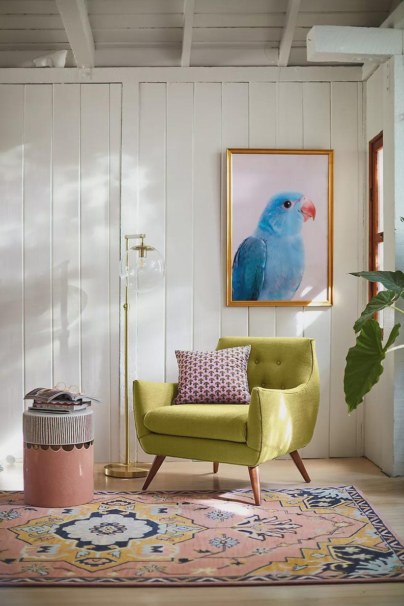 May include: A living room scene featuring a light green armchair with a patterned pillow, a framed blue parrot print, and a pink and yellow patterned rug. A gold floor lamp and a small side table complete the decor.