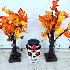May include: Two decorative autumn trees with orange and yellow leaves, each with a brown base and a string of lights. A white ceramic sugar skull with a black top hat and colourful painted details sits in front of the trees.