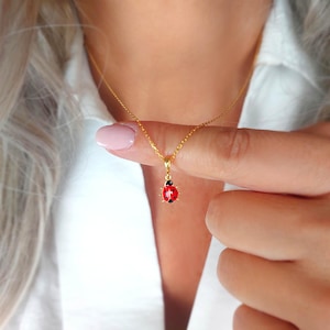 Puede incluir: Un collar dorado con un colgante de mariquita. La mariquita tiene un cuerpo rojo con puntos negros y una cabeza negra. El collar lo sostiene una persona que lleva una camisa blanca.