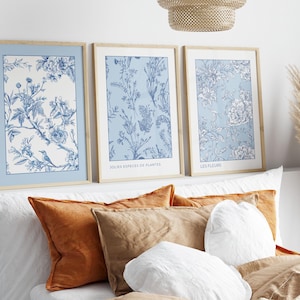 Pode incluir: Três quadros retangulares com molduras de madeira clara contendo ilustrações botânicas em azul e branco. As gravuras exibem padrões florais e o texto em francês JOLIES ESPECES DE PLANTES e LES FLEURS sobre um fundo azul claro.