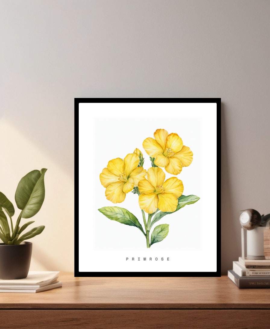 Primrose Poster - Etsy