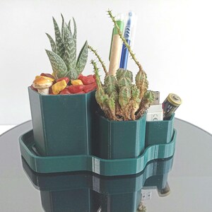 Maceta para plantas suculentas, organizador de escritorio sencillo