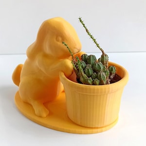 Jardinière de cactus en forme de lapin, composition florale, cache-pot imprimé en 3D