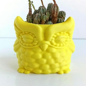 Porte-plantes succulentes hibou, jardinière sur le rebord de la fenêtre, cache-pot imprimé en 3D