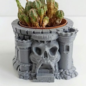 Pot Castle Grayskull : cache-pot de cactus imprimé en 3D