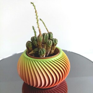 Cache-pot imprimé en 3D, décoration de salon