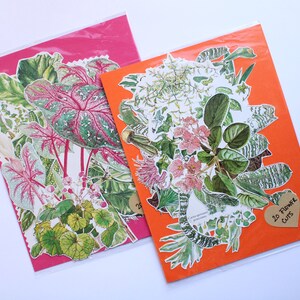 40 ritagli vintage da libro originale degli anni ’90, tema botanico, fiori e piante di ogni tipo, scrapbooking, diario spazzatura