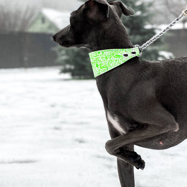 Sighthound Collar Etsy