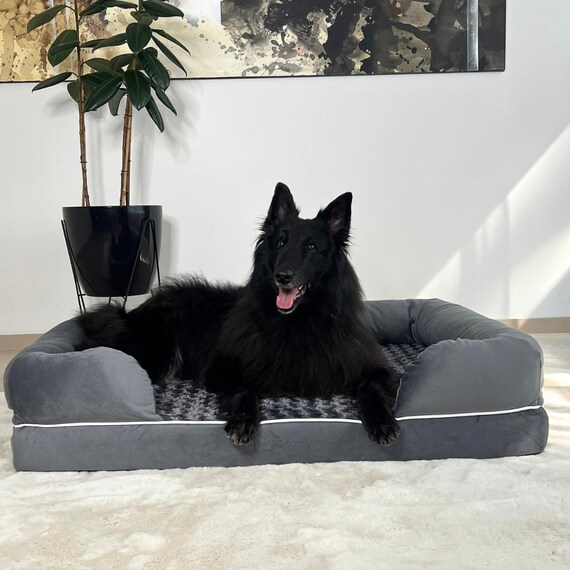 hundefutter gekocht Schweine-Nierchen (gekocht) – Pollux Hundefutter
