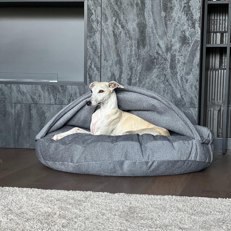 May include: A light-colored dog rests in a gray, hooded pet bed. The bed is round with a textured fabric, and the dog is lying down. The background features a dark gray wall and a bookshelf.