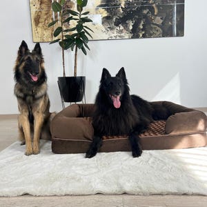 May include: Two dogs, one brown and one black, are relaxing on a brown and tan dog bed with a checkered pattern. The bed is on a white fluffy rug.