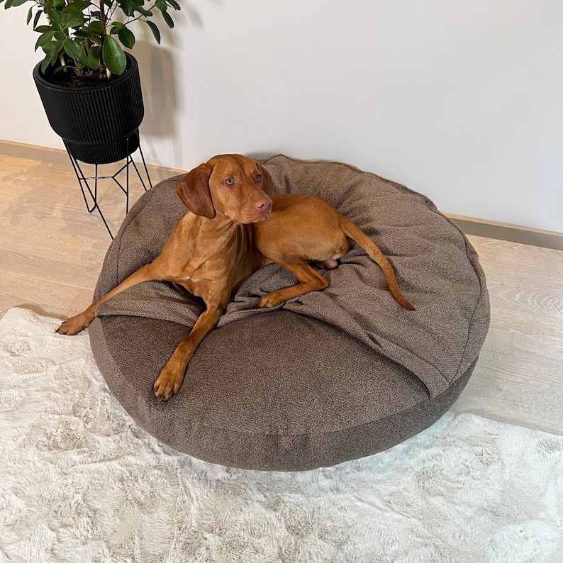 May include: A brown dog rests on a round, brown dog bed with a textured surface. The dog bed has a darker brown trim. A white, fluffy rug is in the foreground. A black plant stand with a potted plant is in the background.