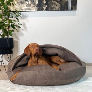 Può includere: Un cane marrone riposa in una cuccia marrone con un design a cappuccio. La cuccia è realizzata in tessuto strutturato e poggia su un tappeto bianco. Una pianta in vaso e arte astratta sono sullo sfondo.