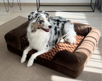 Può includere: Un letto per cani marrone con un esterno in tessuto morbido marrone e un interno in tessuto fantasia marrone e beige. Un cane pastore australiano blu merle è sdraiato sul letto, guardando a destra.