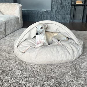 May include: A light beige dog bed with a hooded top, providing a cozy space for a small dog. The dog bed is round and sits on a shaggy, light gray rug. A slender, light-colored dog is resting inside the bed.