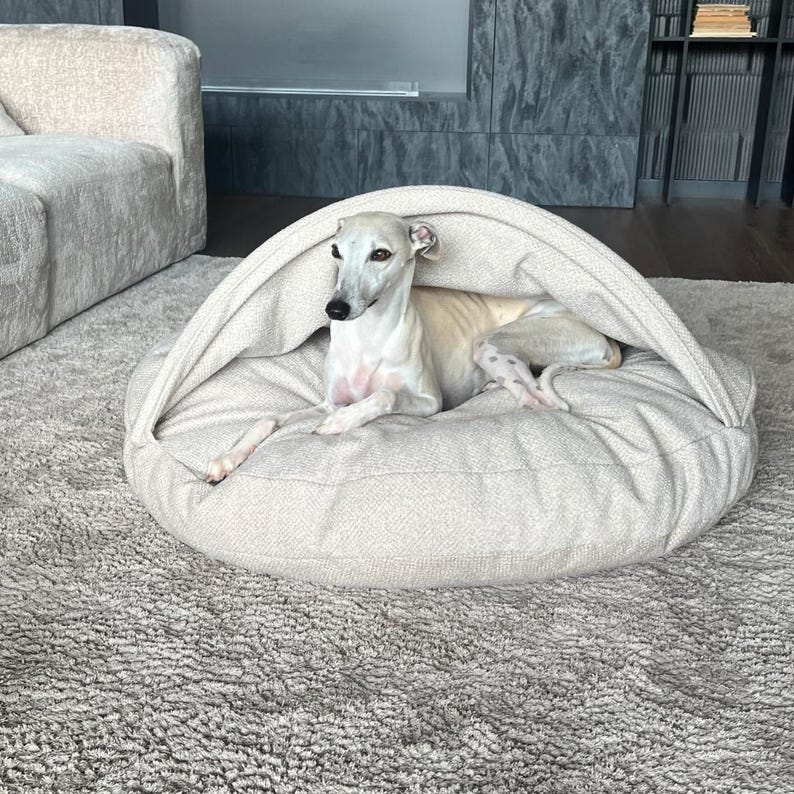 May include: A light beige dog bed with a hooded top, providing a cozy space for a small dog. The dog bed is round and sits on a shaggy, light gray rug. A slender, light-colored dog is resting inside the bed.