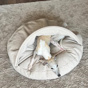 Puede incluir: Un perro beige y blanco descansando dentro de una cama para perros beige. La cama para perros es redonda con una parte superior curvada y con forma de capucha. El perro es de color beige claro con marcas blancas.