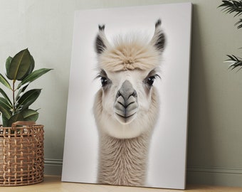 Llama Canvas Print Wall Art, Tropical Elegance for Your Home Decor, Llama Photo Print, Animal Canvas, Gift Canvas