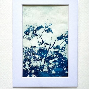 Original Cyanotype Print Azaleas, Matted 5x7, Blue Decor, Photographic Cyanotype, Original Art Photography, Cotton Paper, Blue Theme, OOAK