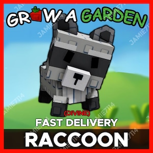 Raccoon (Divine) - Roblox Grow a Garden Pet CHEAPEST - Fast Delivery - Worldwide (Grow A Garden Raccoon Pet Roblox)