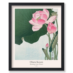 Vintage Ohara Koson Poster - Retro Blooming Lotus Flowers Print - Japanese Art - Classic Painting - Flower Art - Aesthetic Art