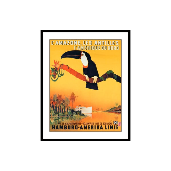 Animal Poster - Advertising Print - Toucan in a Branch, The Amazon, Antilles, and North America - Wall Decor for Home, Office (UNFRAMED)