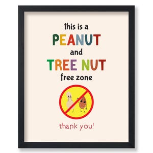Afiche de zona libre de maní y frutos secos - Impresión de concientización sobre alergias alimentarias - Arte educativo - Excelente decoración para la escuela o el aula (SIN MARCO)