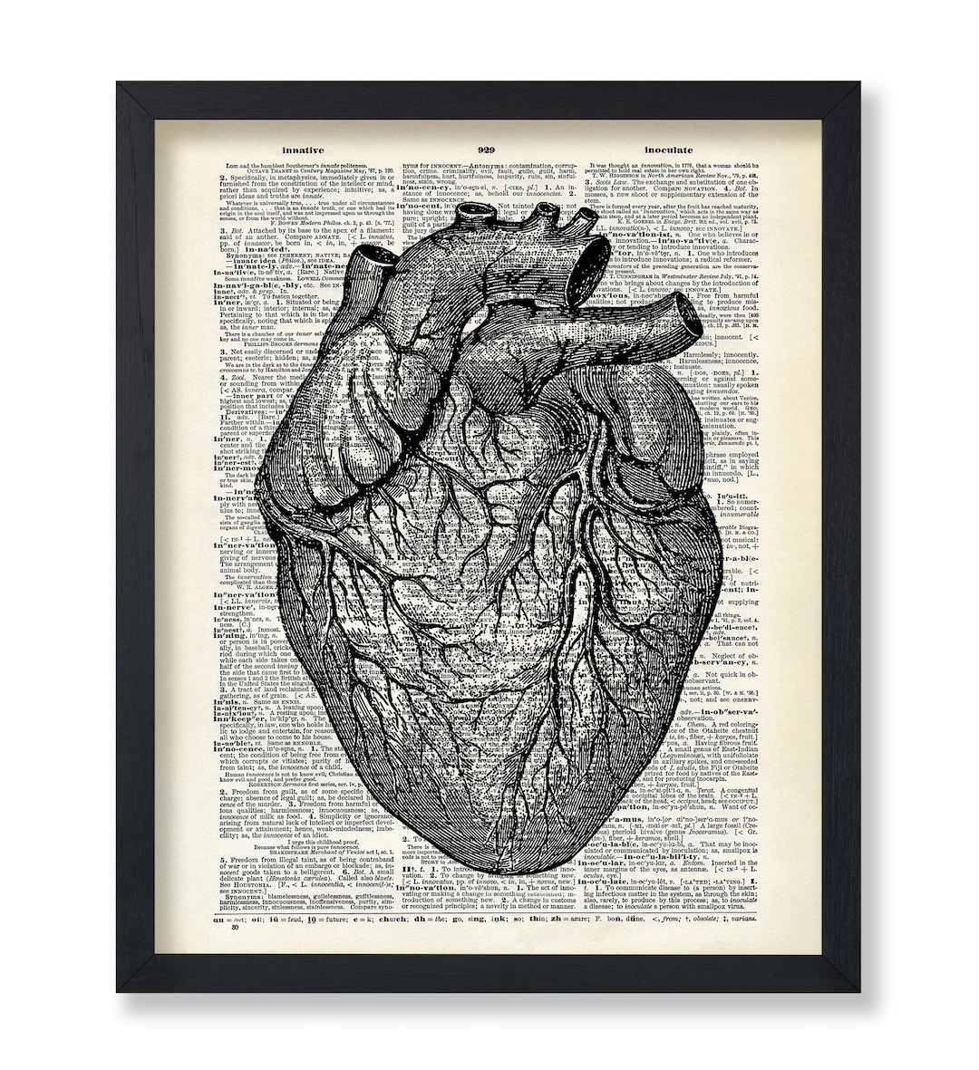 Anatomical Heart Print - Retro Anatomy Art - Gift for Doctor Nurse ...