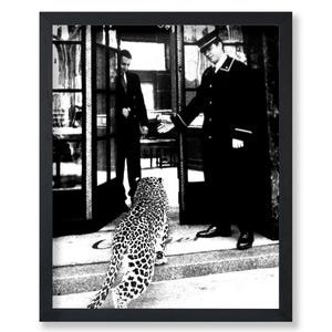 Leopard Poster - Panther in Fashion Boutique Print - Photography Art - Animal Art - Black and White Art - Humorous Art