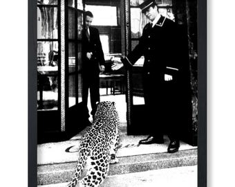 Leopard Poster - Panther in Fashion Boutique Print - Photography Art - Animal Art - Black and White Art - Humorous Art