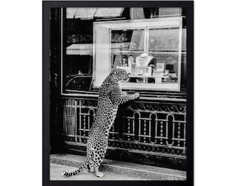 Panther in the Jewelry Shop Poster - Cheetah Print - Fashion Art - Black & White Art - Photography Art - Trendy Art - Modern Art