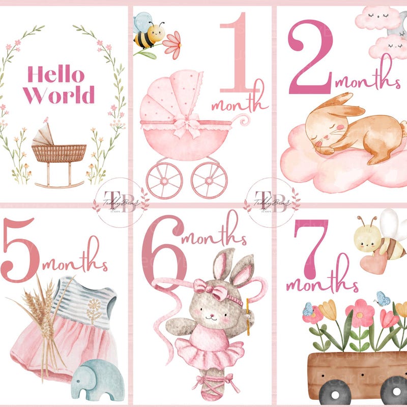 Baby Milestone Cards - Etsy UK