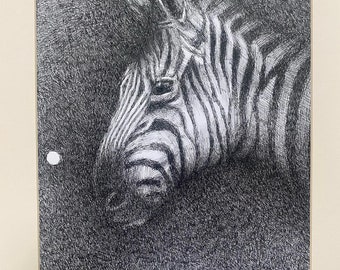 Zebra - Pen and Ink