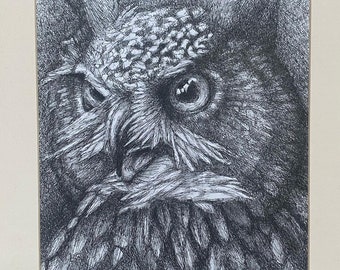 Hibou grand-duc - Plume et encre