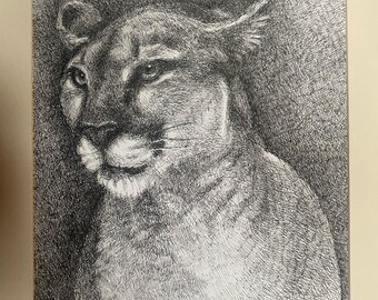 Puma - Pen and Ink