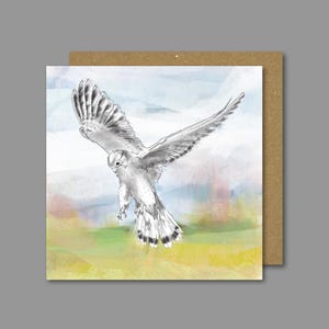 Cartão de pássaro Kestrel / Pássaros de jardim britânicos / Cartão de saudações de pássaros / Presente de pássaros britânicos / Amante de pássaros / Cartão em branco / Cartão de pássaro de jardim / Amante da natureza