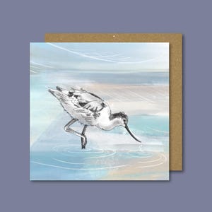 Cartão de alfaiate / Pássaro costeiro britânico / Cartão de saudações de pássaros / Cartão de pássaros costeiros / Arte costeira / Presente para amantes de pássaros / Cartão da natureza / Cartão pacífico / Em branco