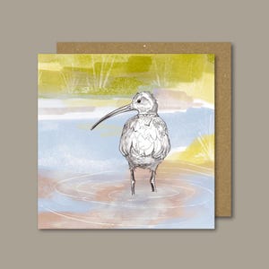 Cartão de maçarico-real / Pássaros costeiros / Cartão de saudações de pássaros / Presente de pássaros britânicos / Cartão em branco / Campo britânico / Cartão para amantes de pássaros / Cartão para amantes da natureza