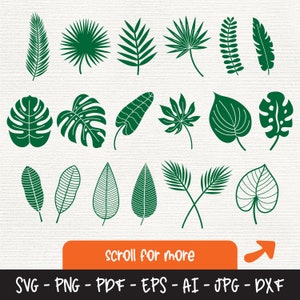 Pacote Svg de folhas tropicais, clipart de folhas tropicais exóticas, Monstera Leaf svg, folhas da selva Svg, plantas Svg, botânico Svg, vegetação Svg