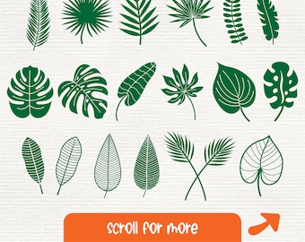 Kaktus SVG Bundle: Sukkulenten & Zimmerpflanzen, Laser Cut Dateien  (Digitaler Download) - Etsy.de