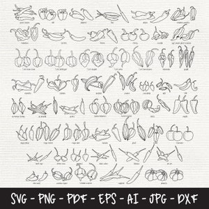Pakiet Svg Pepper, Przyprawy kuchenne Svg, Papryczka chili Svg, Jalapeno Svg, Pliki DXF do lasera, Urocza etykieta kuchenna Svg