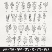 Vintage Kitchen Herbs SVG Bundle: Farmhouse Clipart (digital Download ...